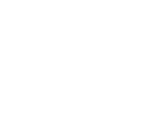 NPI Productions LLC